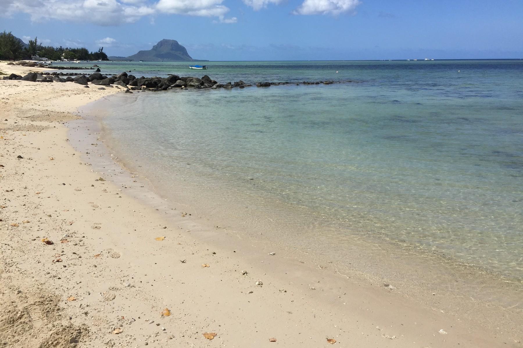 Coral Beach — 31