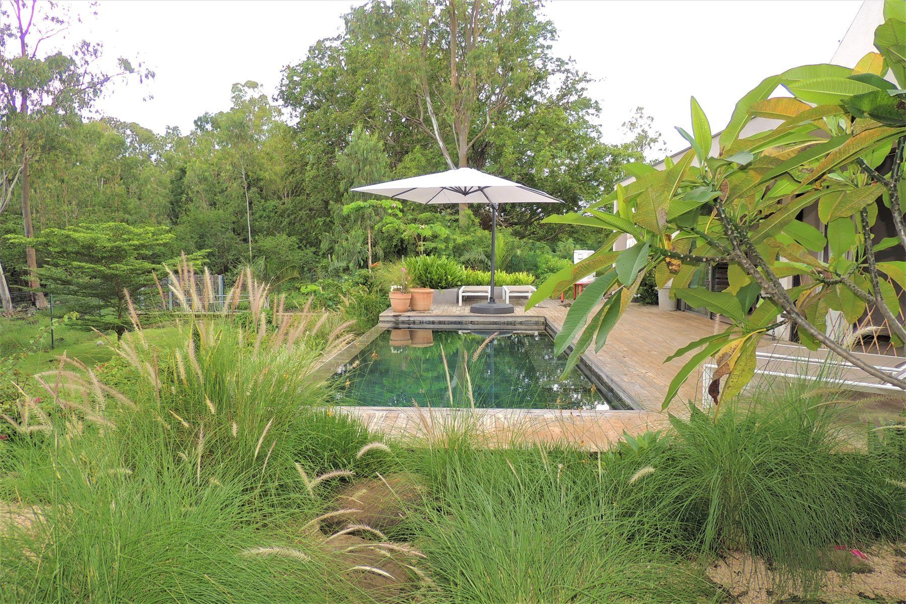 Active only on Dash - La Champagna Villa — 21