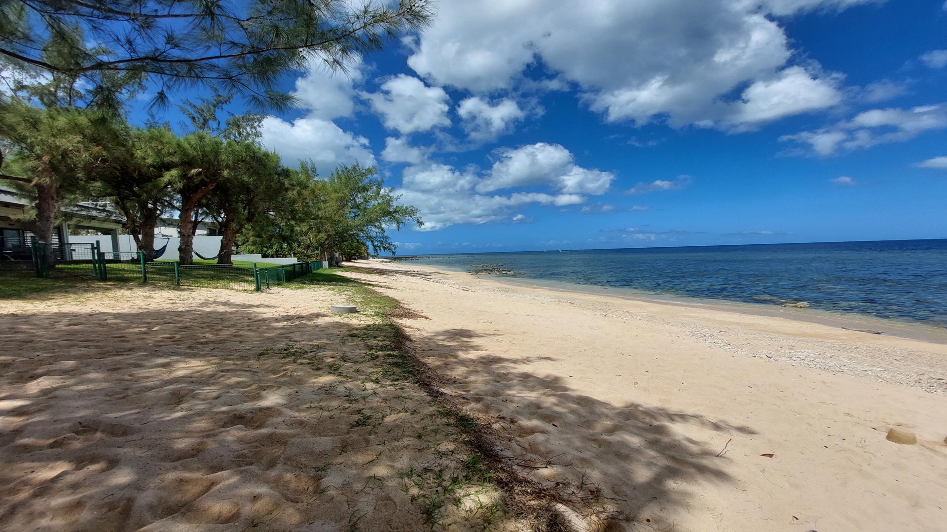 Beach Lane  — 21