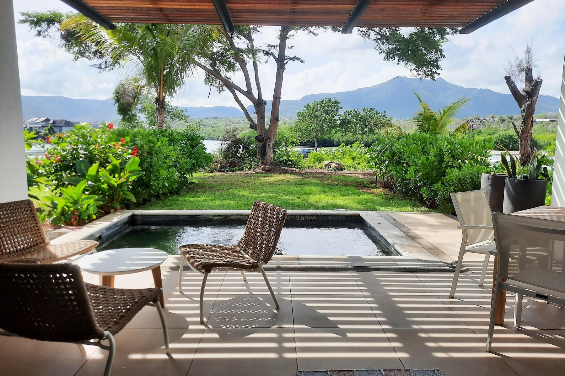 Pure Paradise — 2