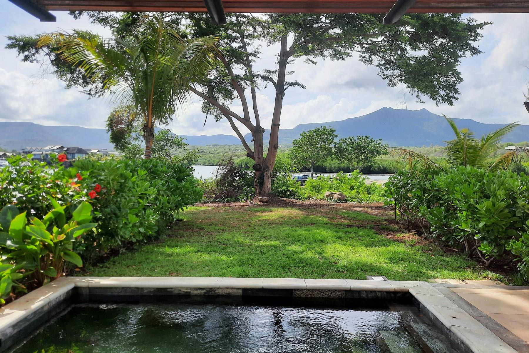 Pure Paradise — 21