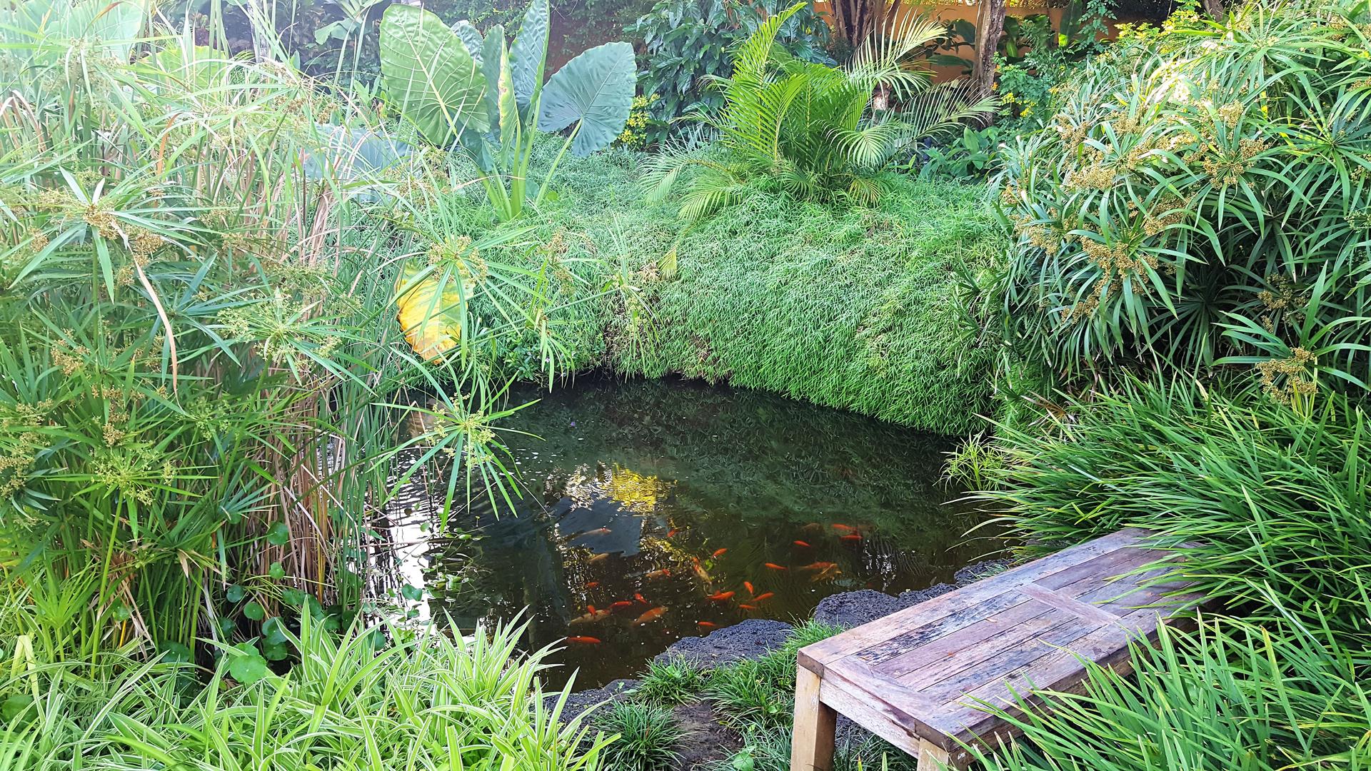 Villa Splendour - Tamarina  — 29