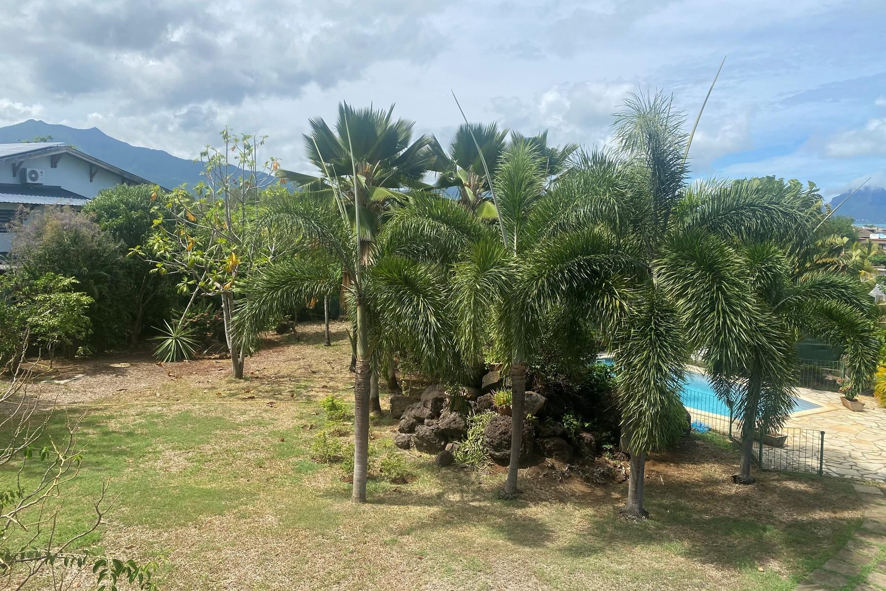Family Oasis — 18