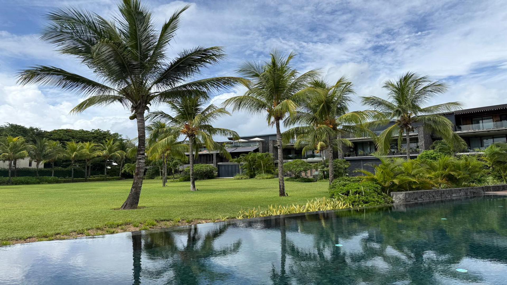 The Palmview — 14