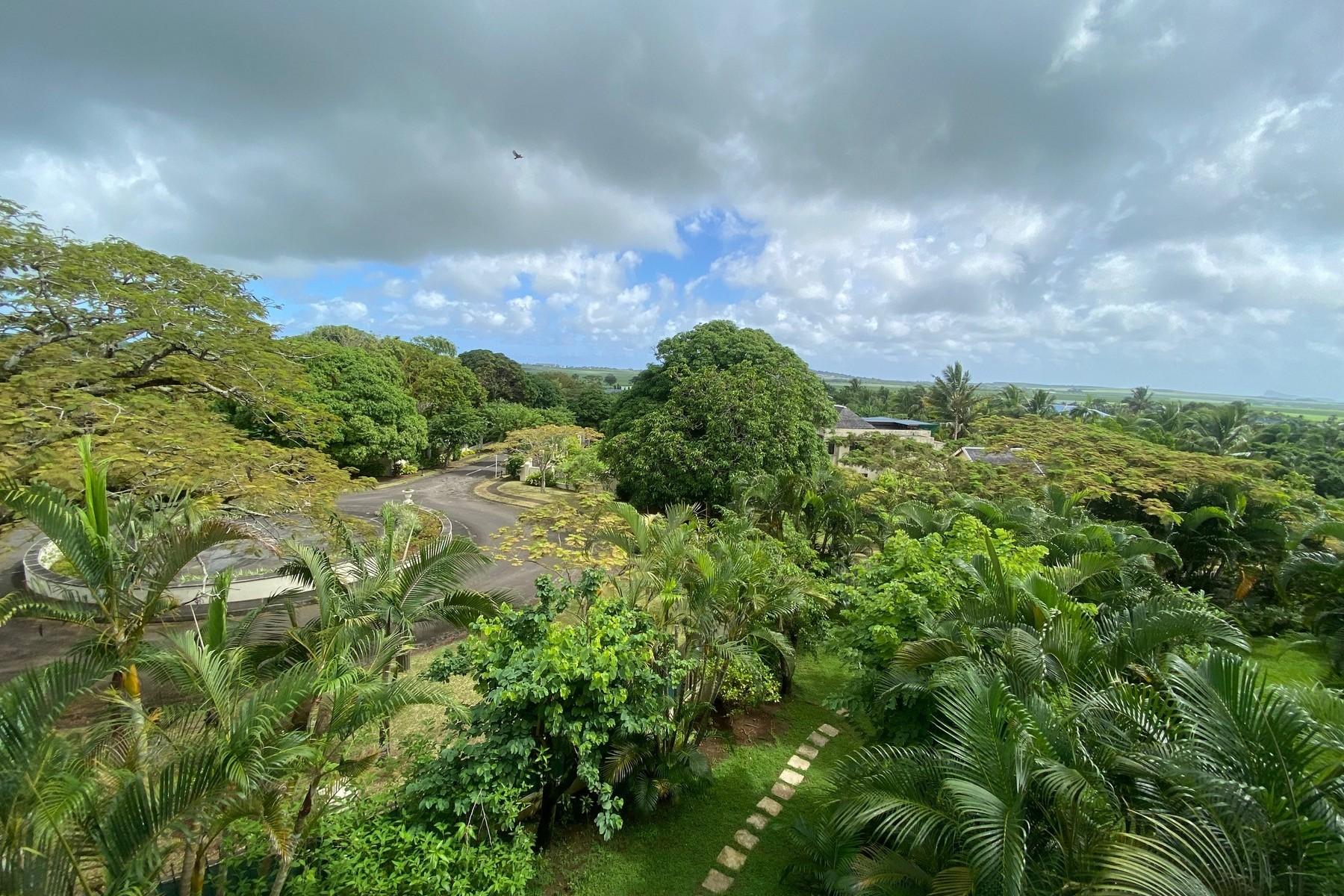 Eagle Eye Views  — 25