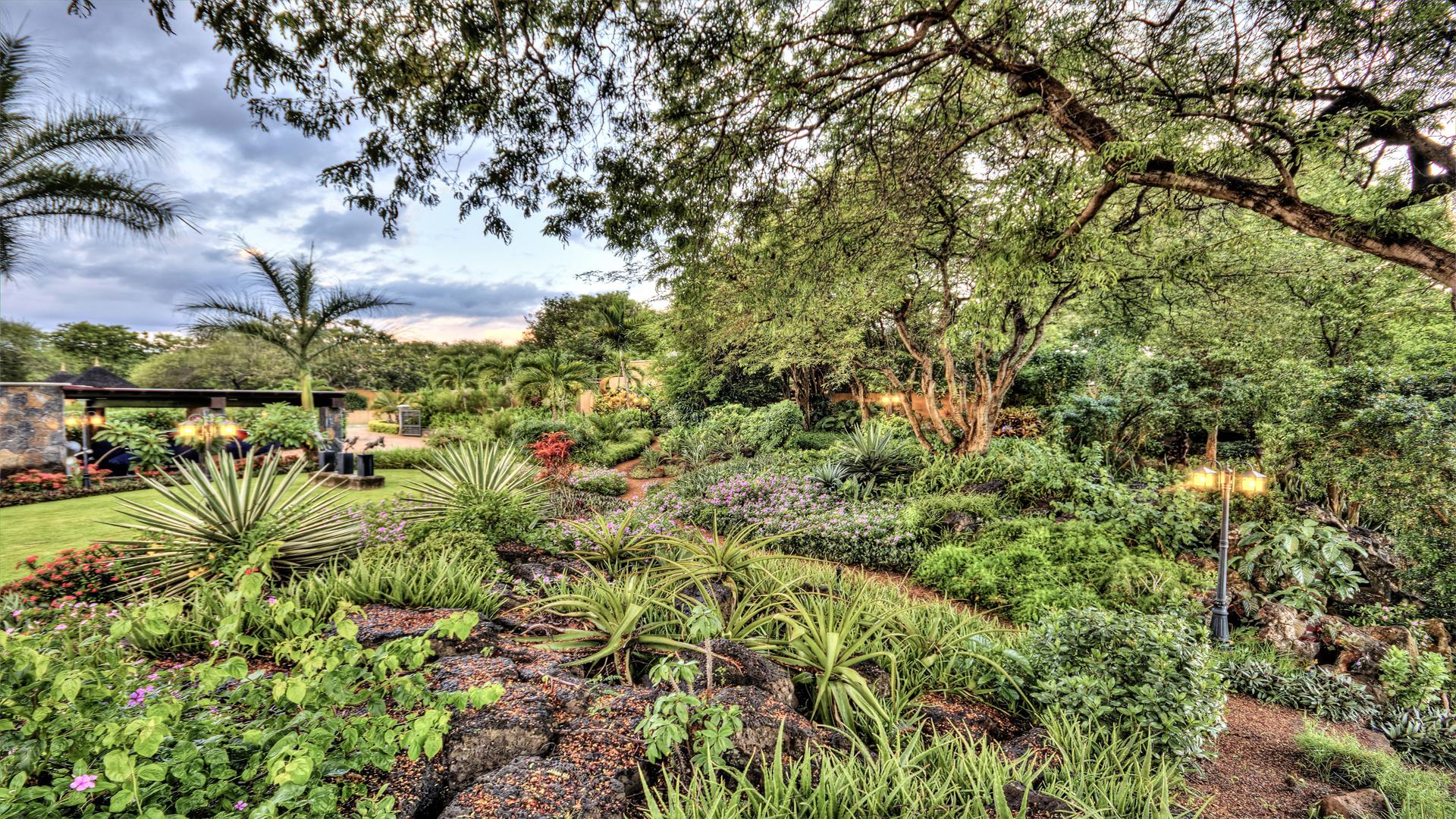Villa Splendour - Tamarina  — 30