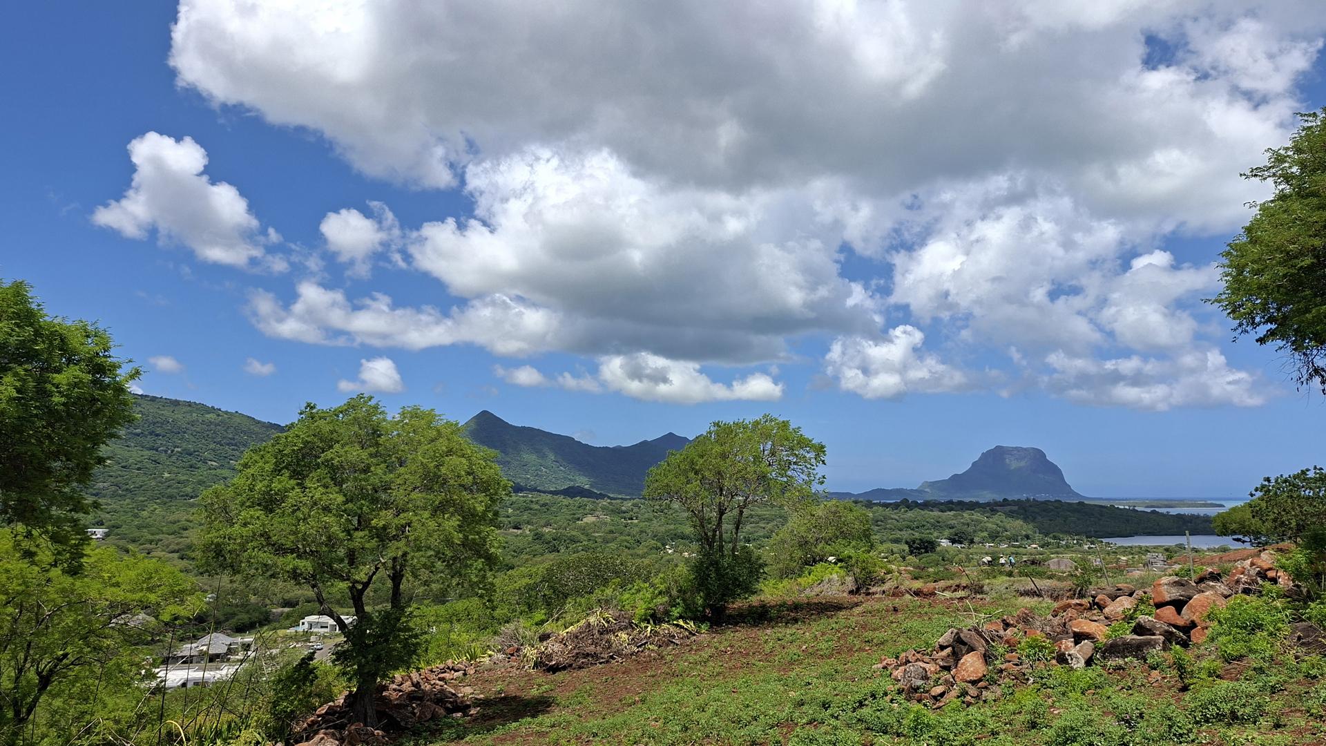 Palmyre Vista — 16