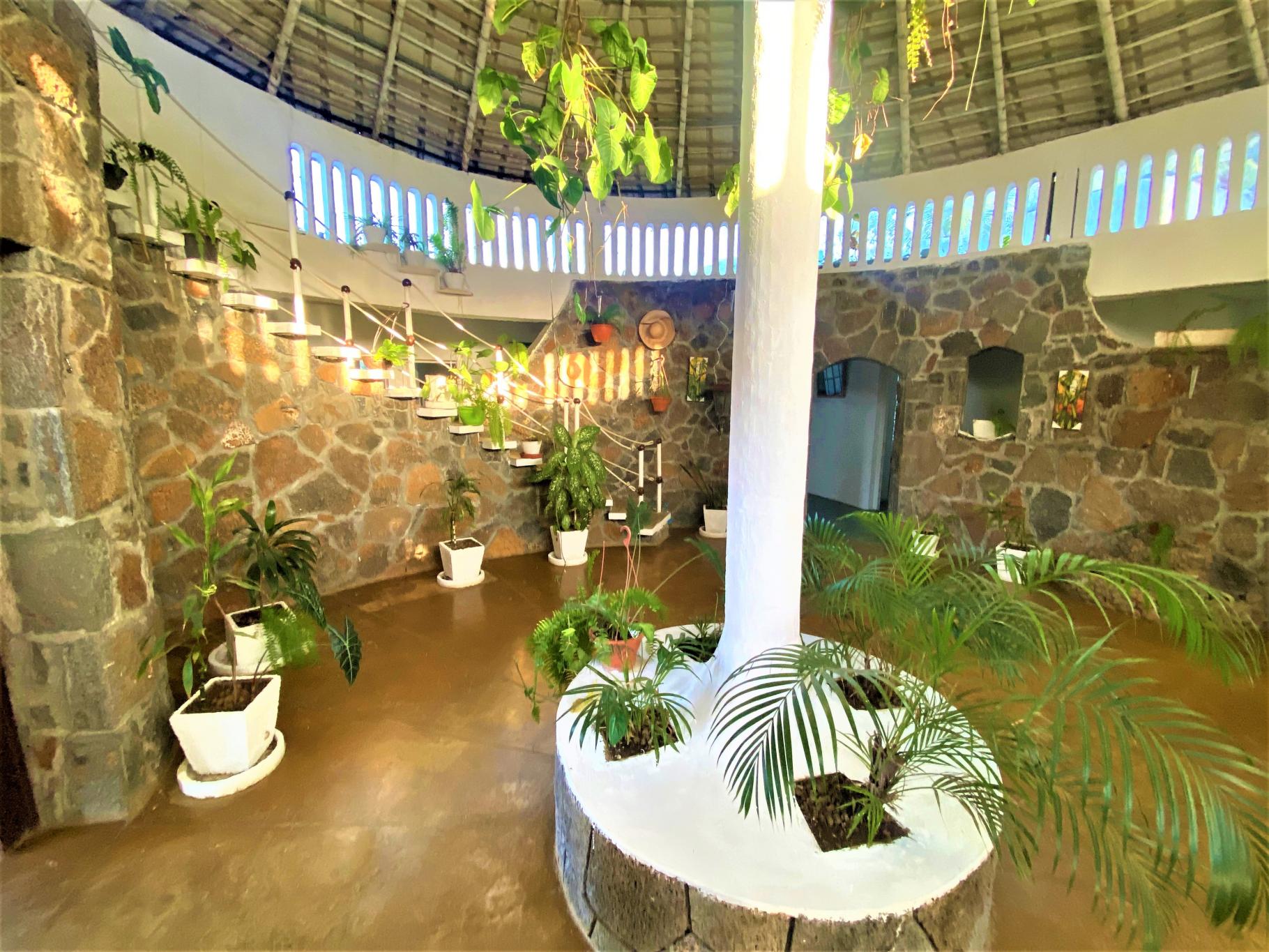 Hidden Cottage  — 4