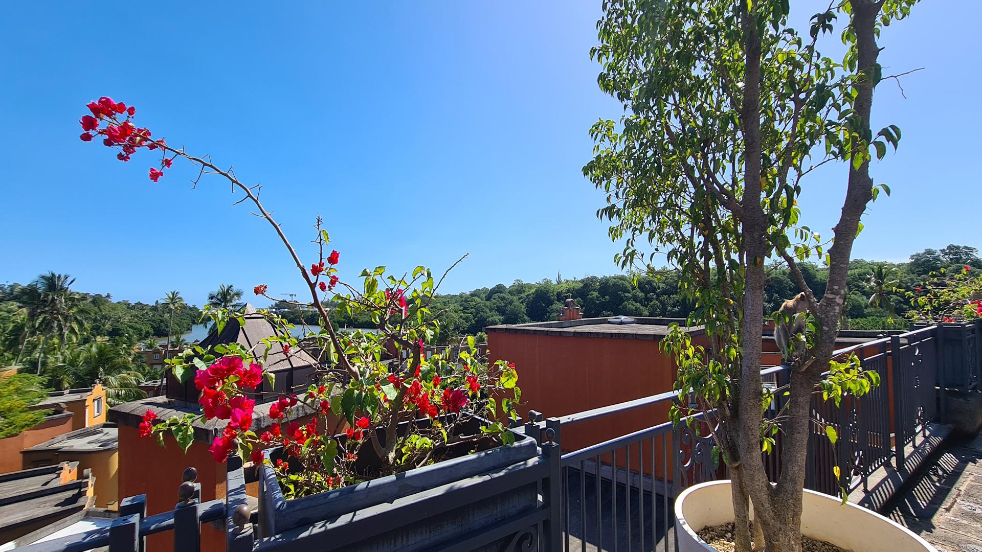 Encantadora Rental — 16
