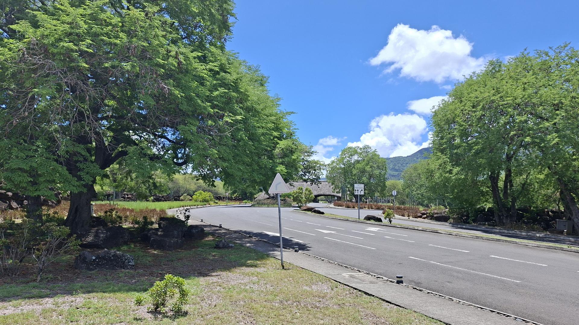 Palmyre Vista — 23
