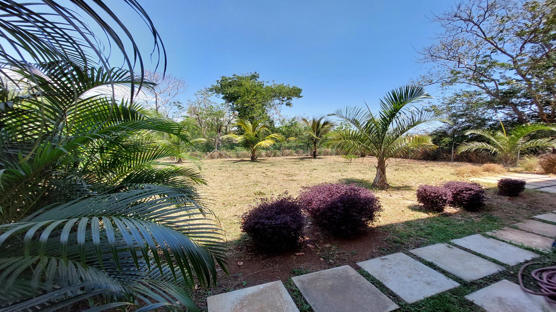 Green Sanctuary — 17