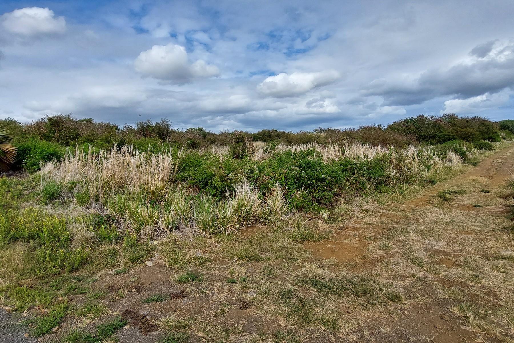 Discovery Land — 5