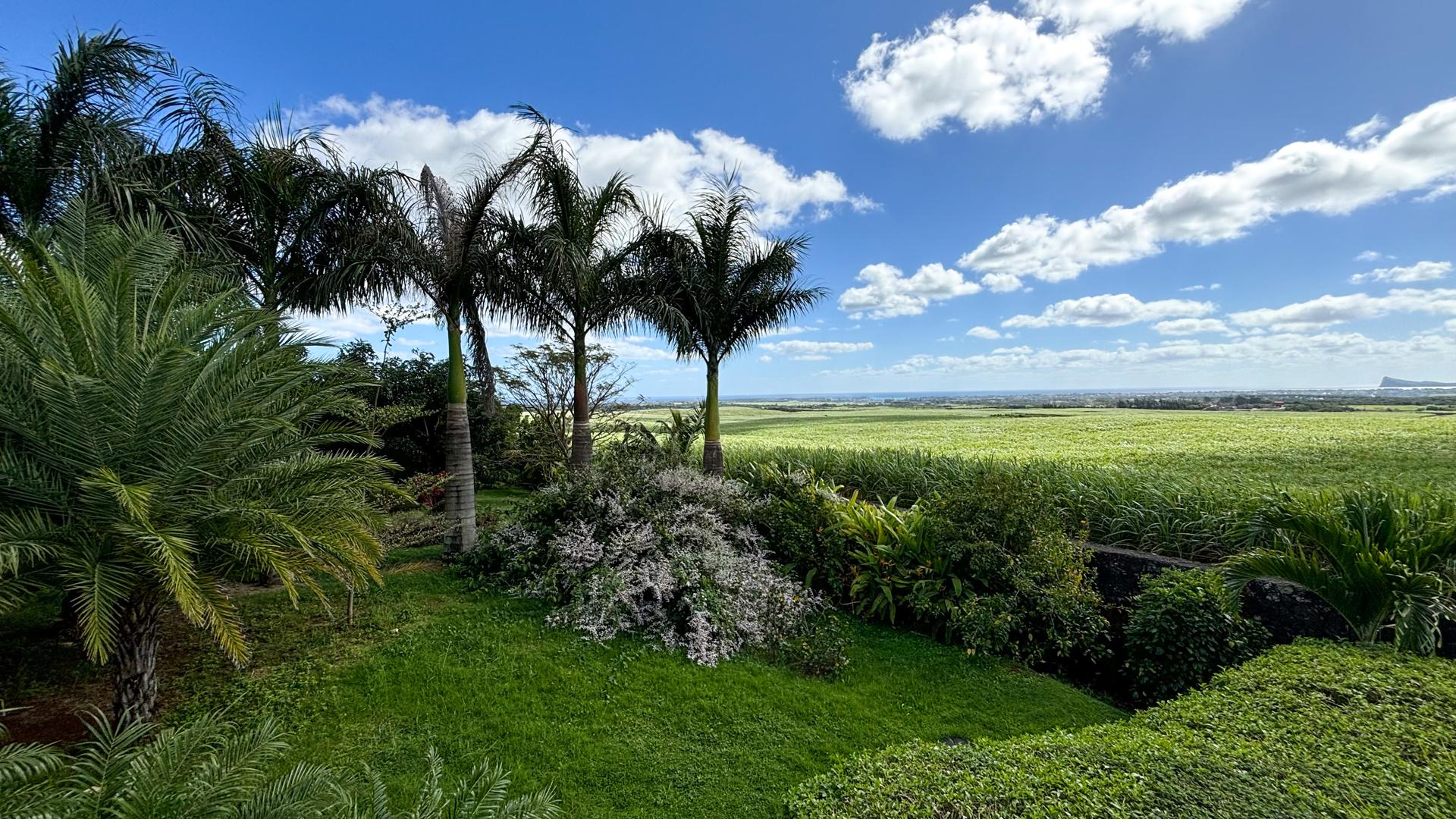 Greenleaf Estate — 2