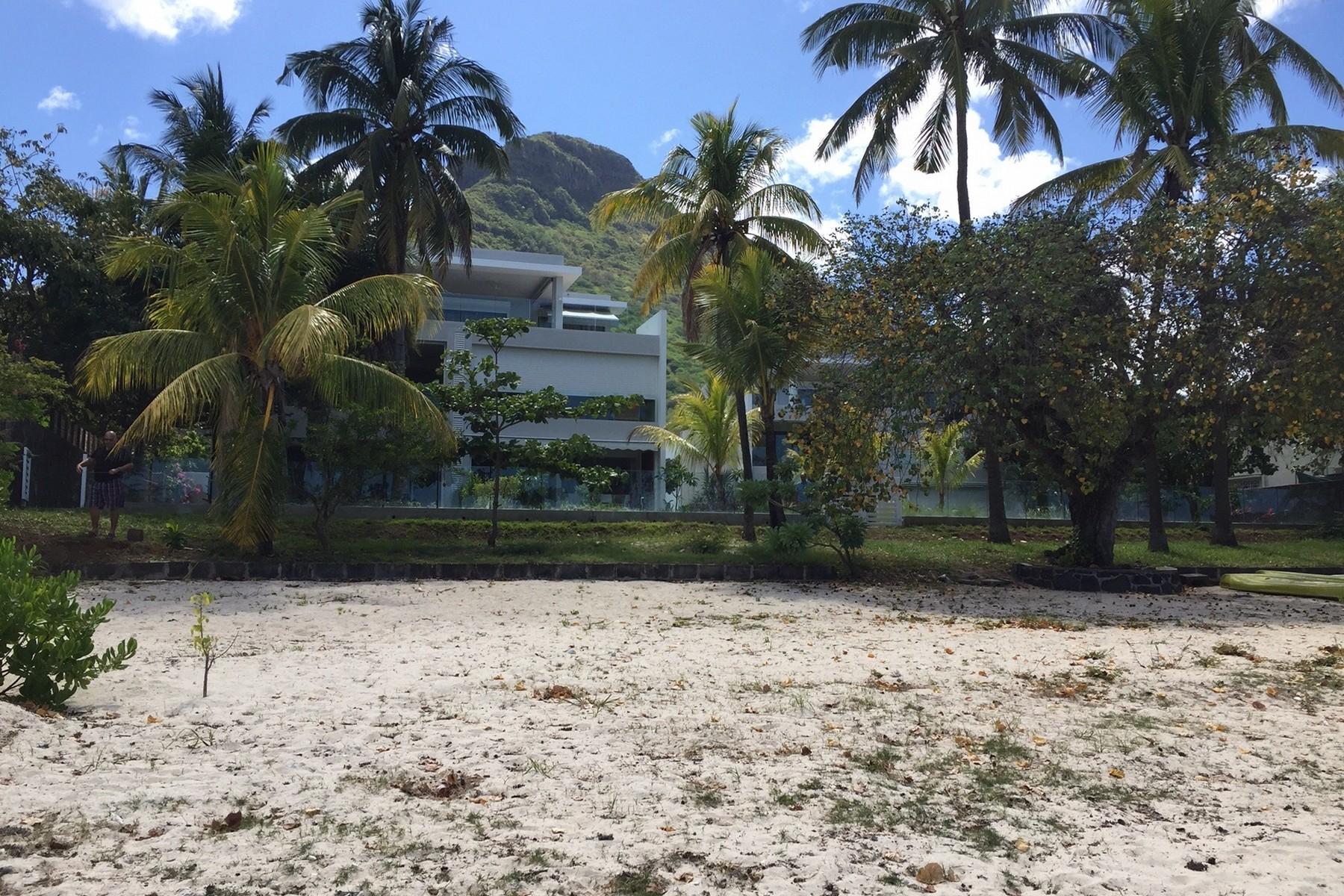 Coral Beach — 30