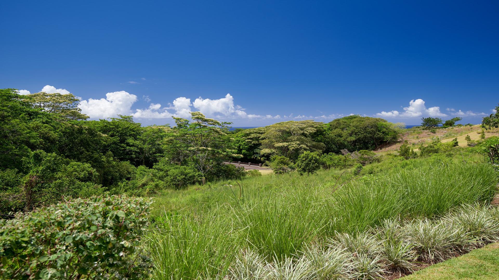 The Keep - Heritage Villas Valriche — 38