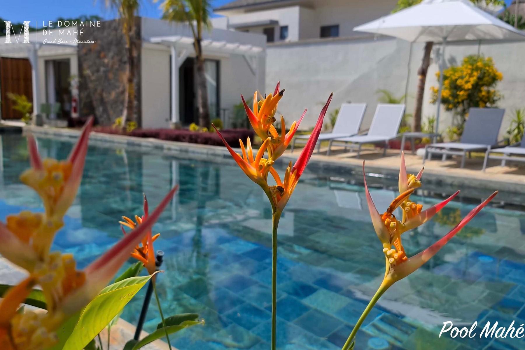 Mon Domaine  — 5