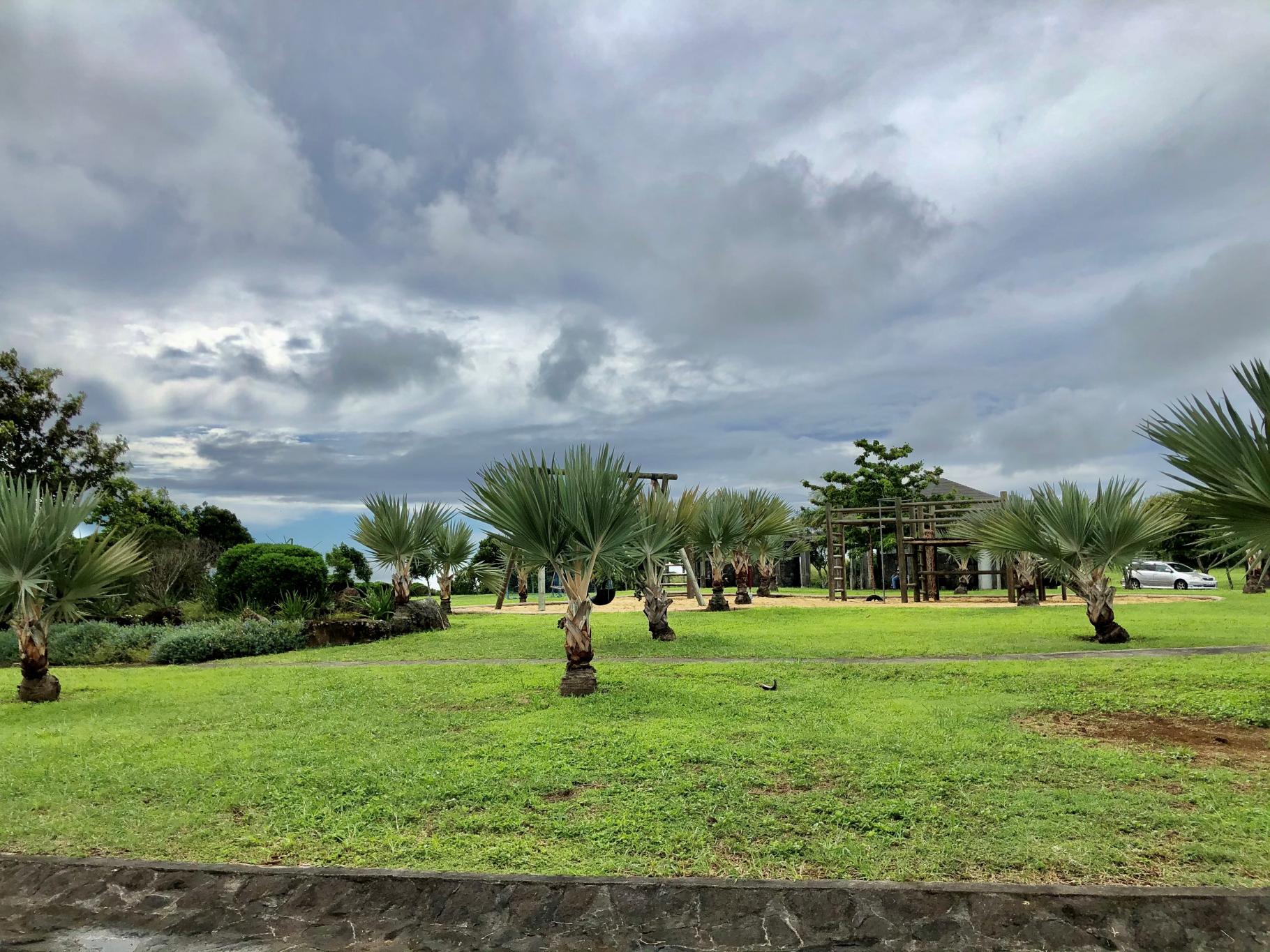 Mont Piton Plot 23 — 2