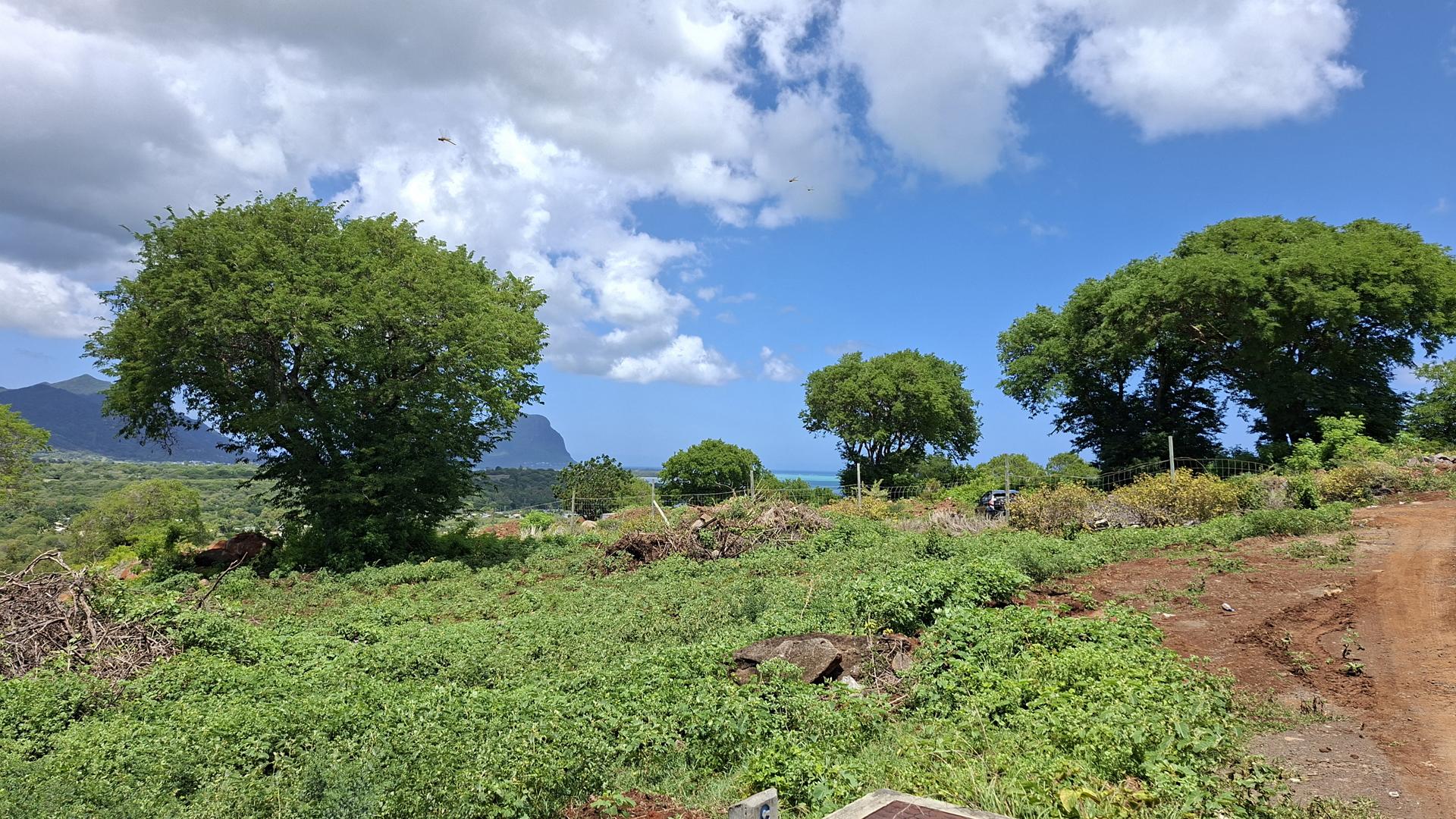 Palmyre Vista — 24