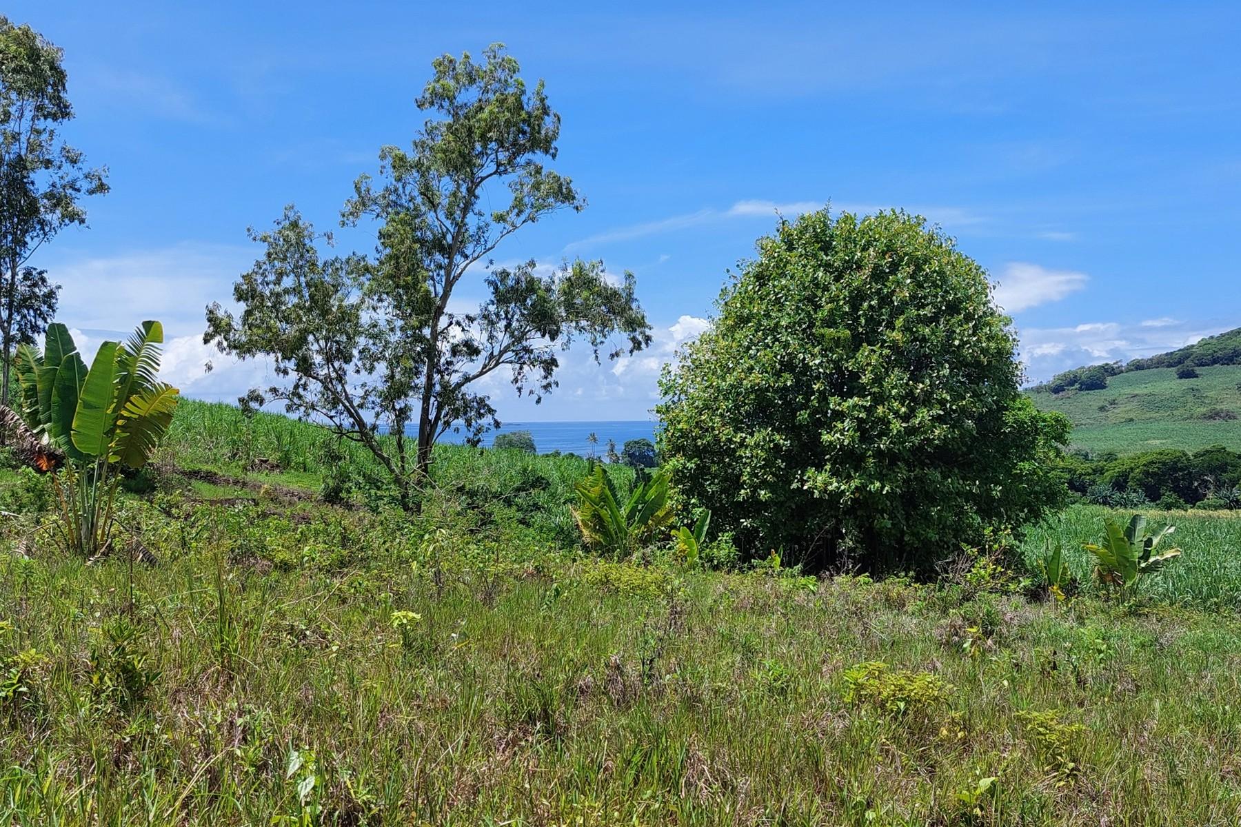 Rêve D'Anse — 4