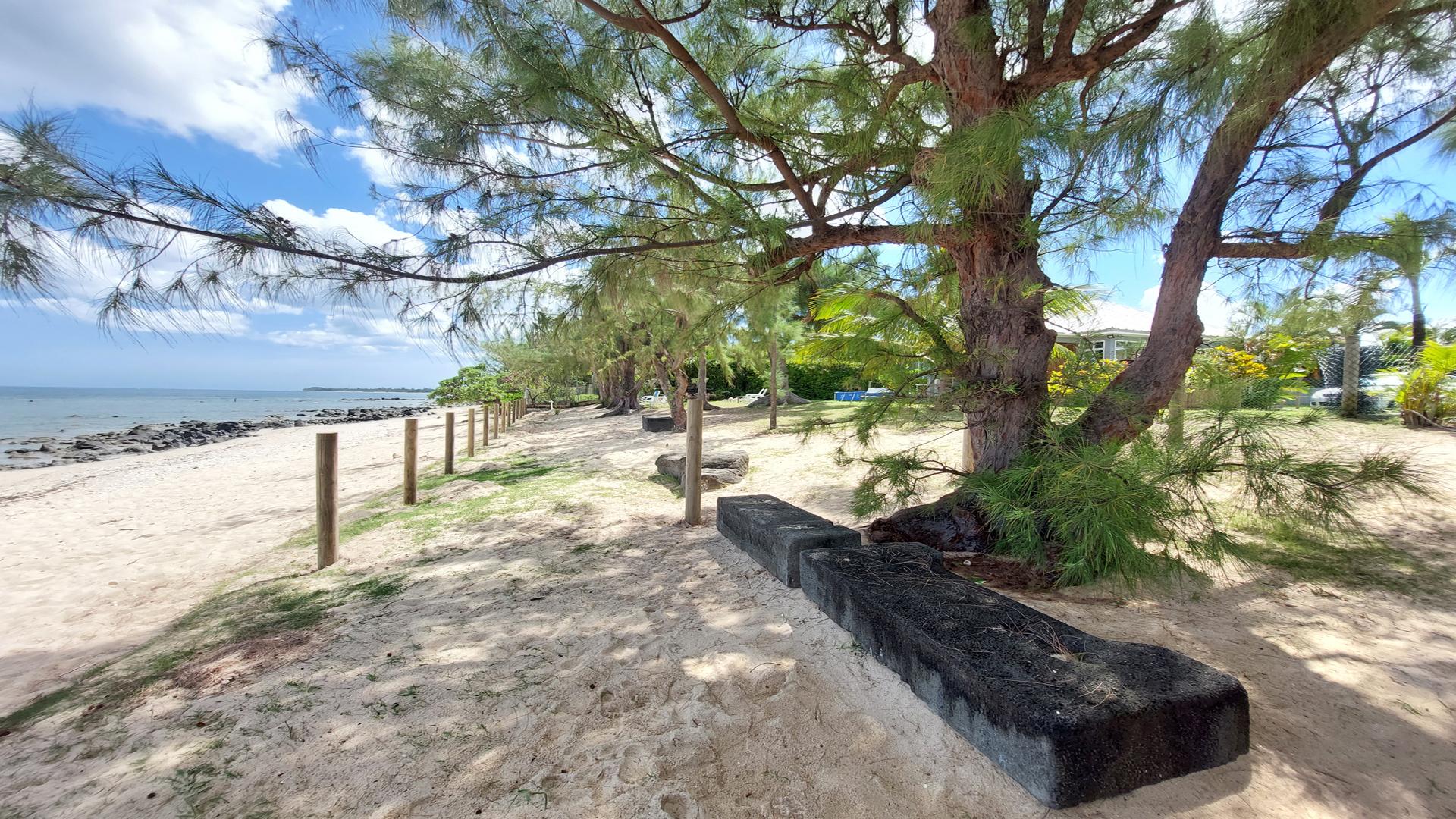 Beach Lane  — 19