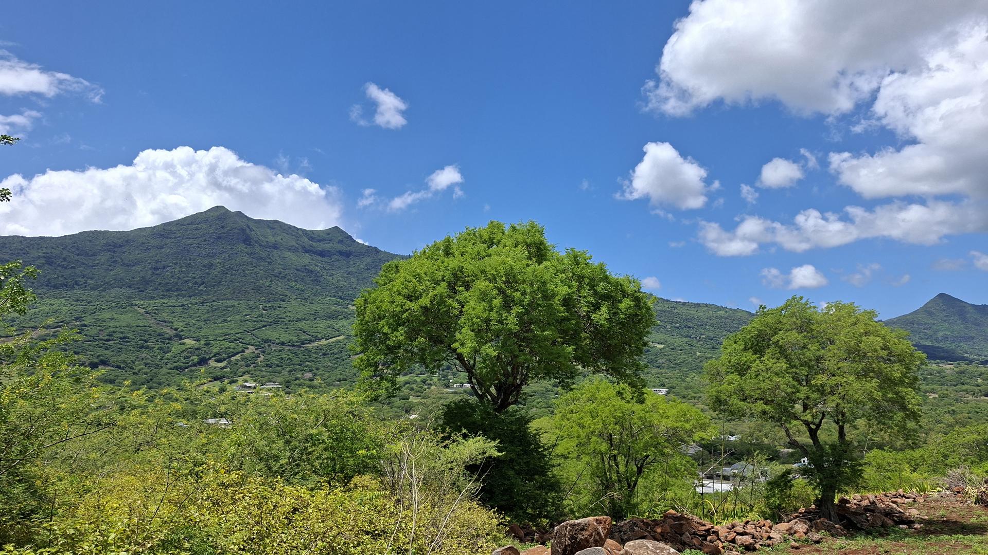 Palmyre Vista — 17
