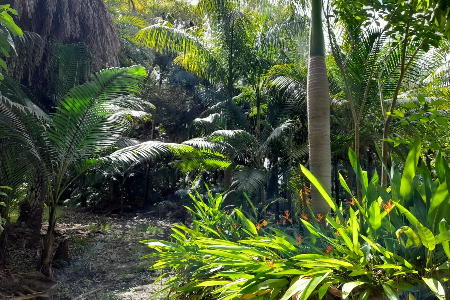 Nature Lover — 6