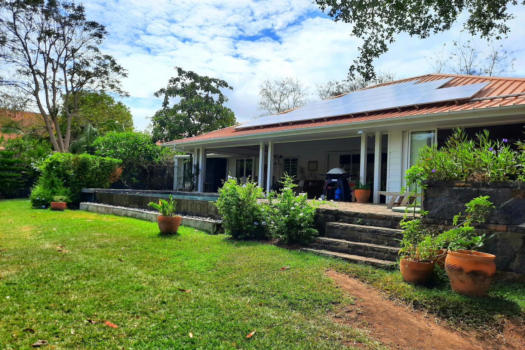 The Green House — 28