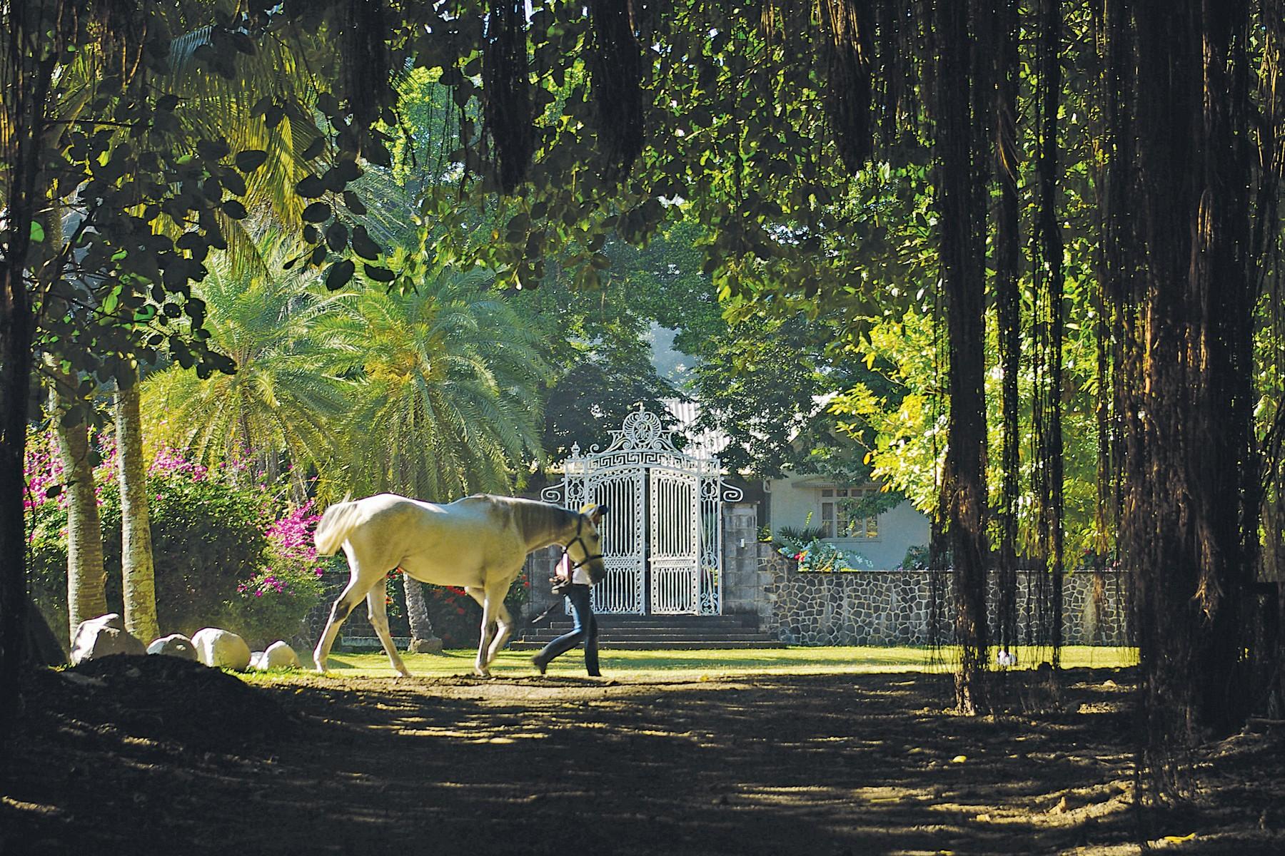 Fairway Villas, Mont Choisy La Reserve — 15