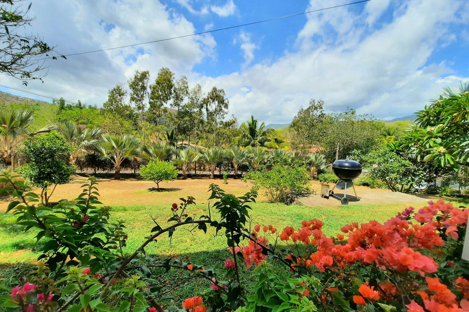 Tropical lifestyle — 27