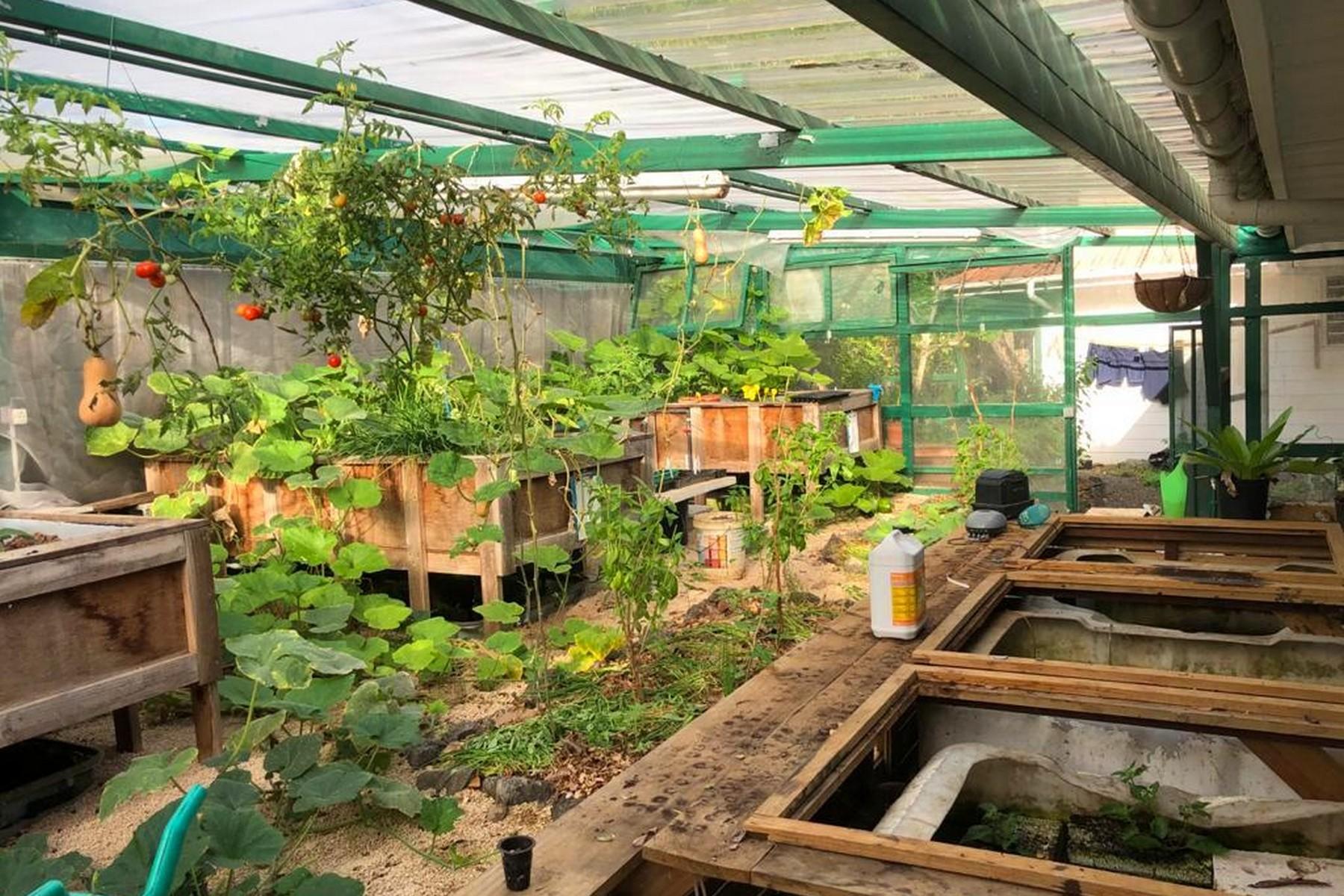 The Green House — 20