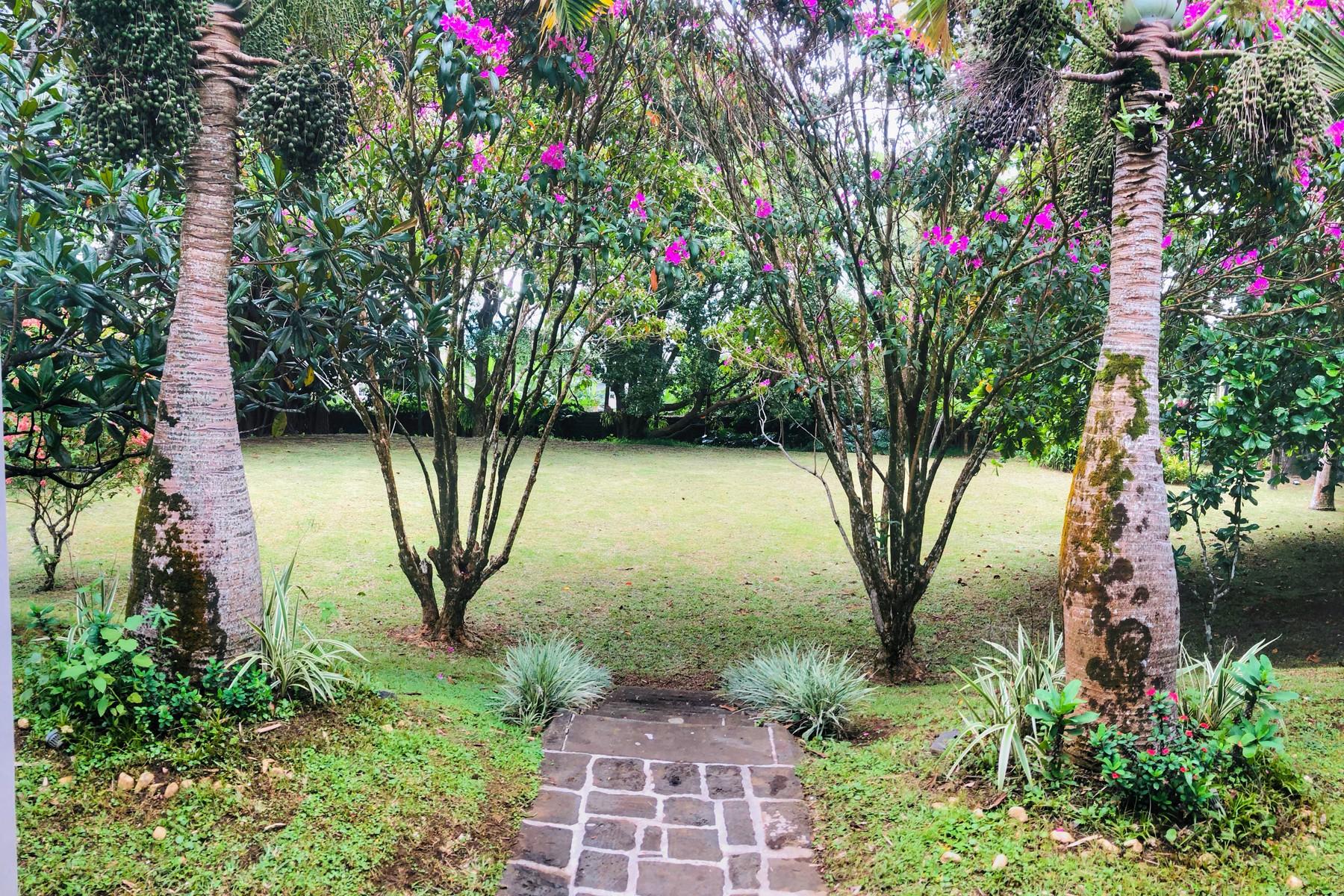 Splendour in the garden — 12