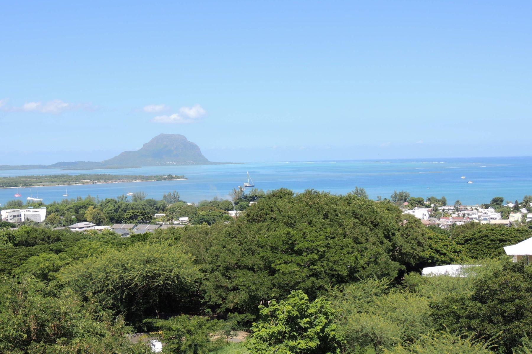 Splendid Views — 20