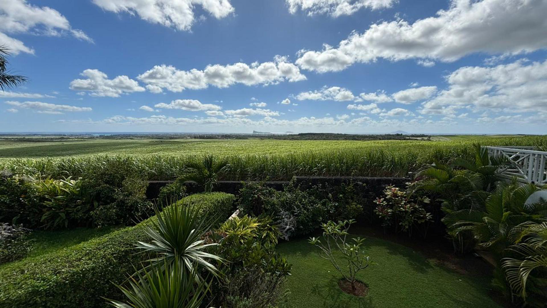 Greenleaf Estate — 10