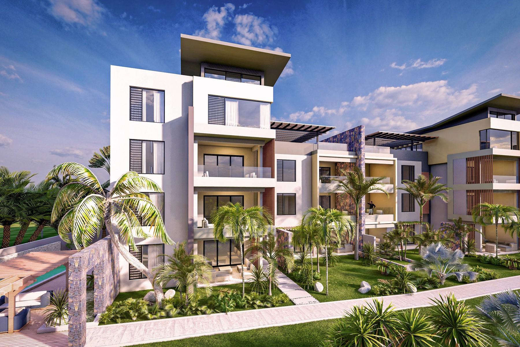 Coral Lane Oasis — 2