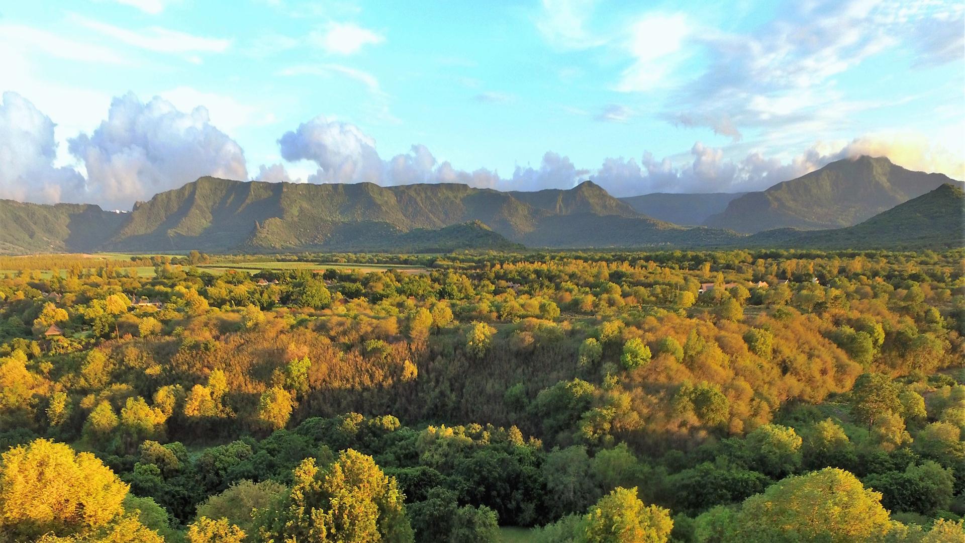 Villa Splendour - Tamarina  — 24