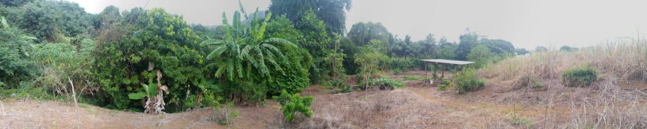 Commercial Land- Montagne Longue  — 8