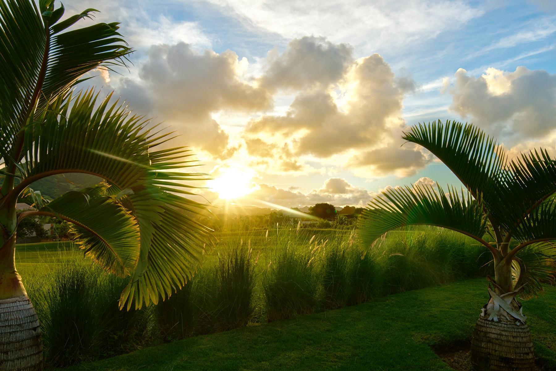 Solaia Designer Golf estate, Anahita. — 38