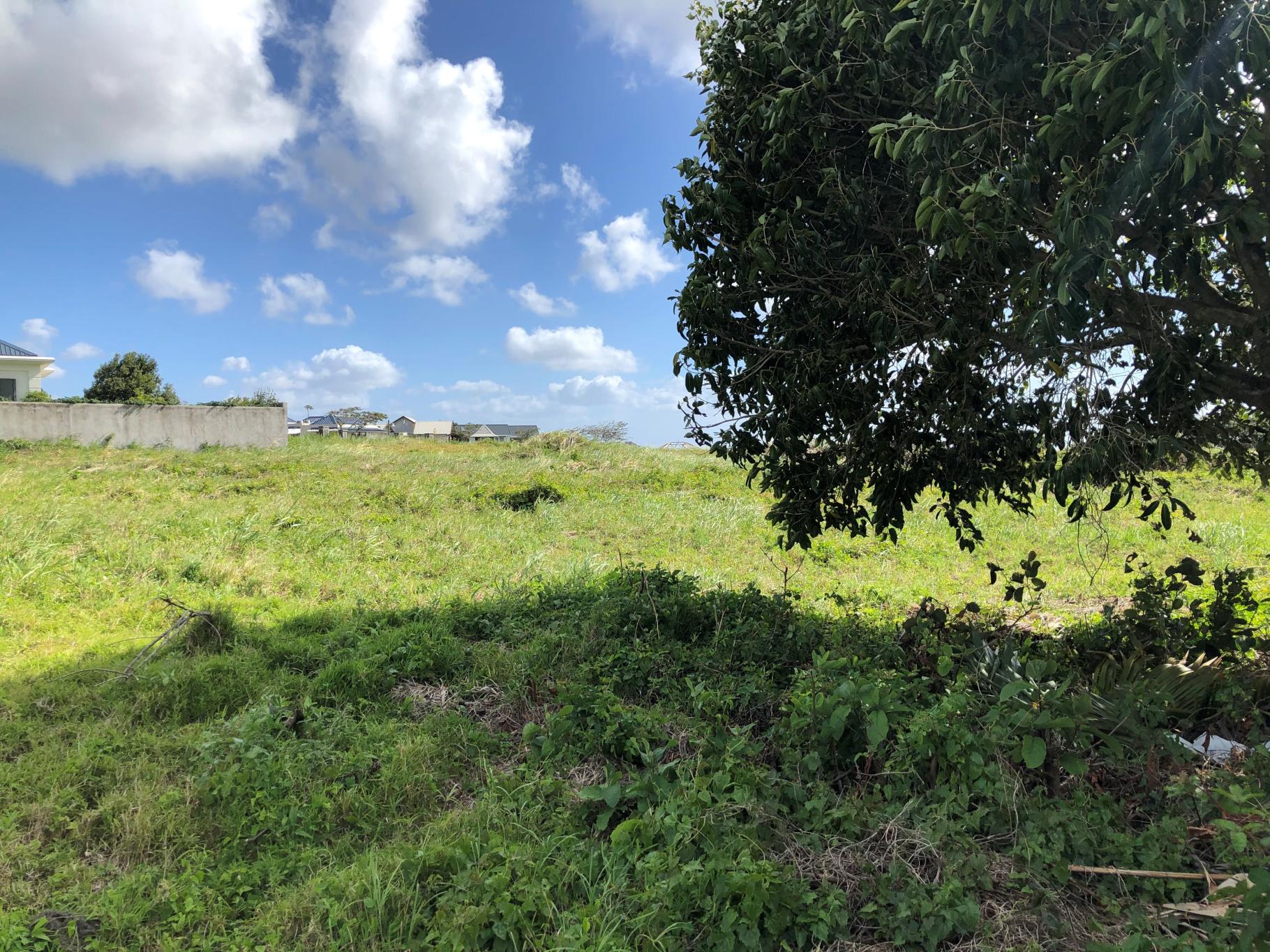 Mon Piton Morcellement Land — 4