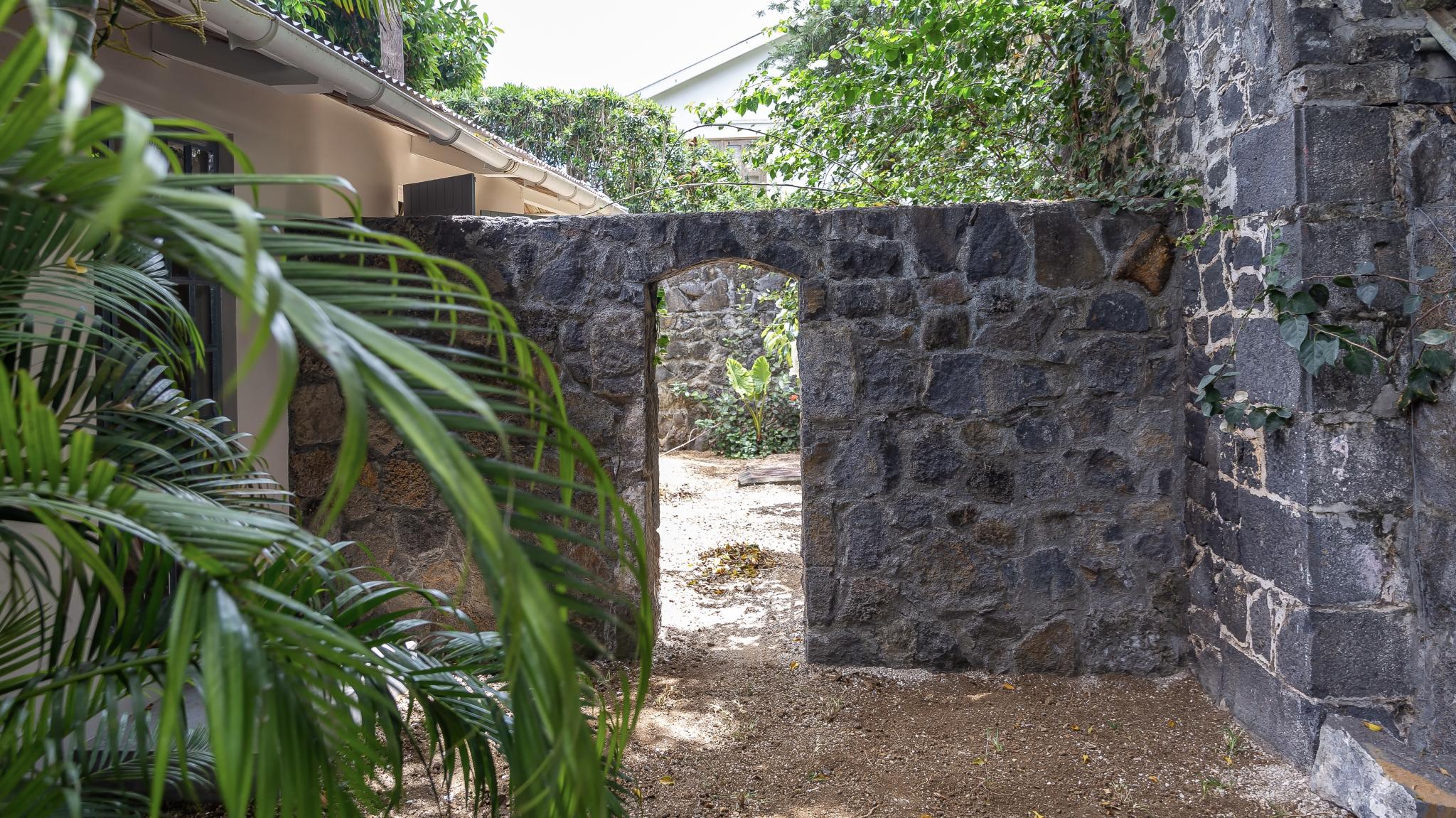 Under the Tropics — 16