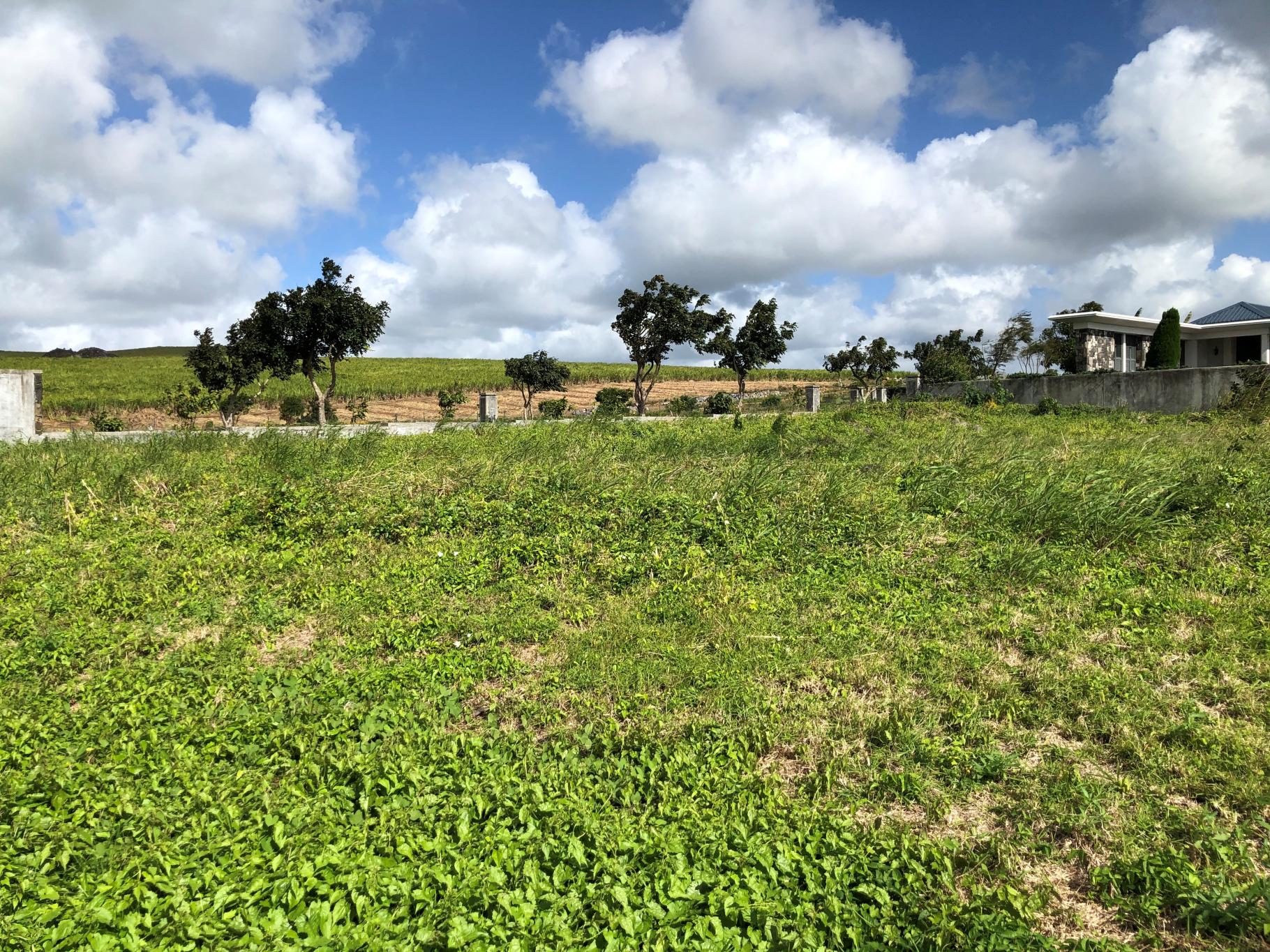Mon Piton Morcellement Land — 5