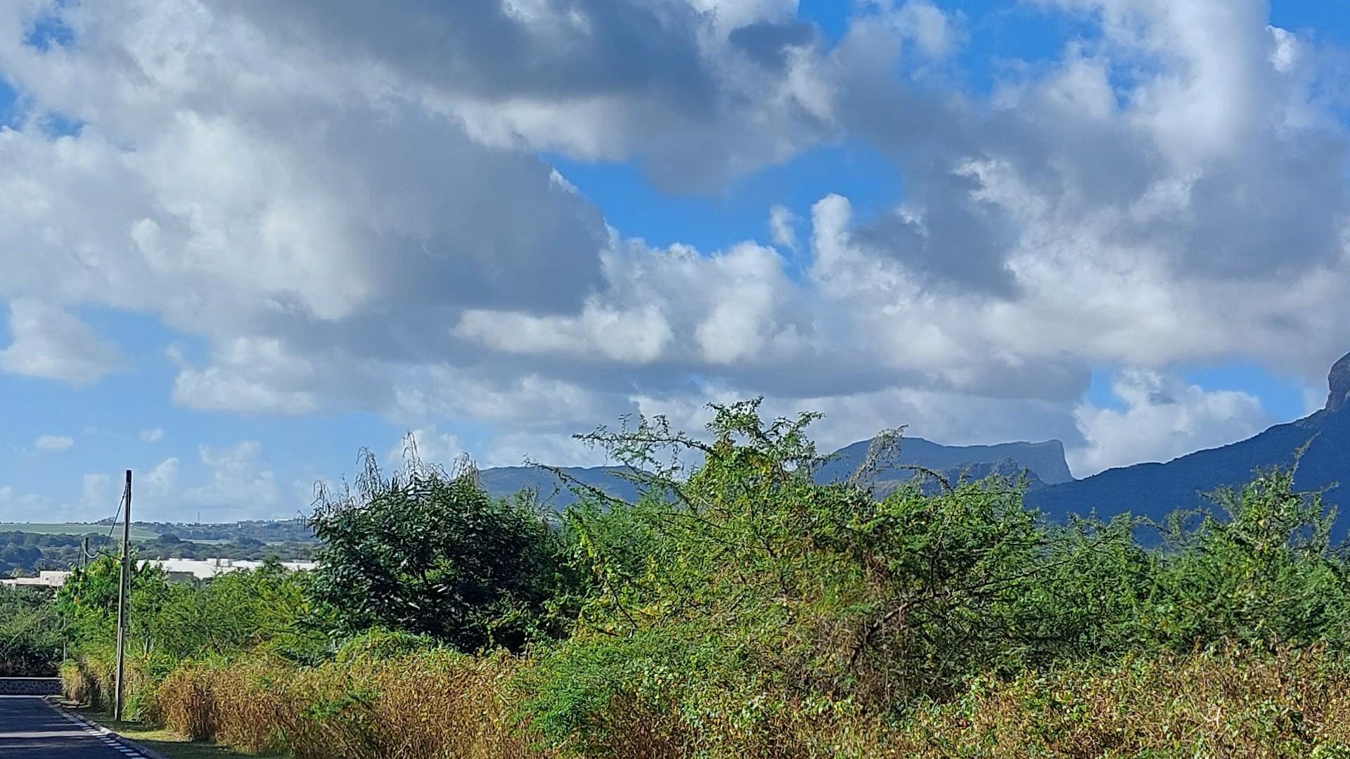 Green Pastures — 3