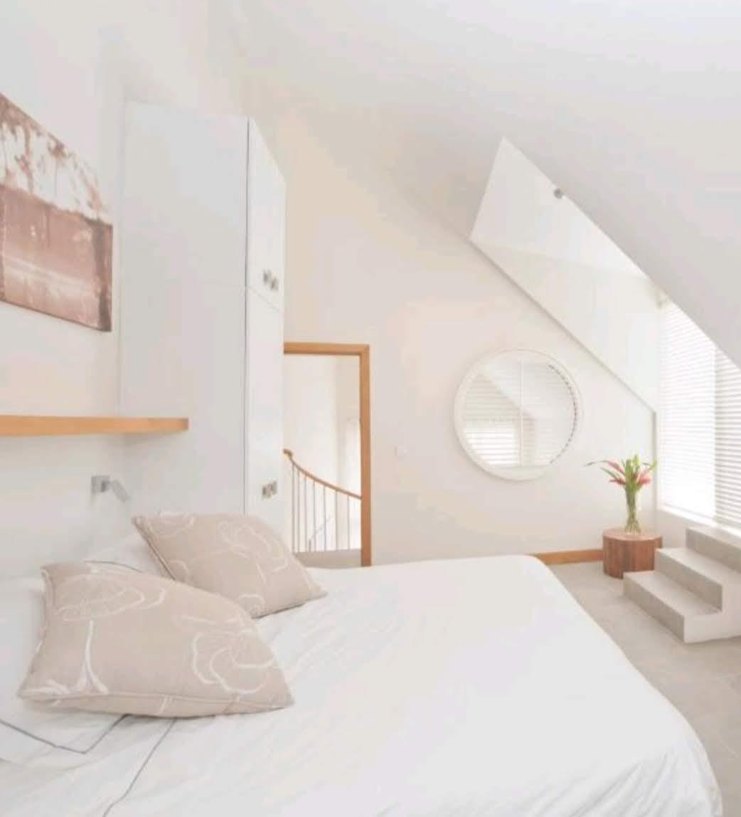 Investor's Dream — 5