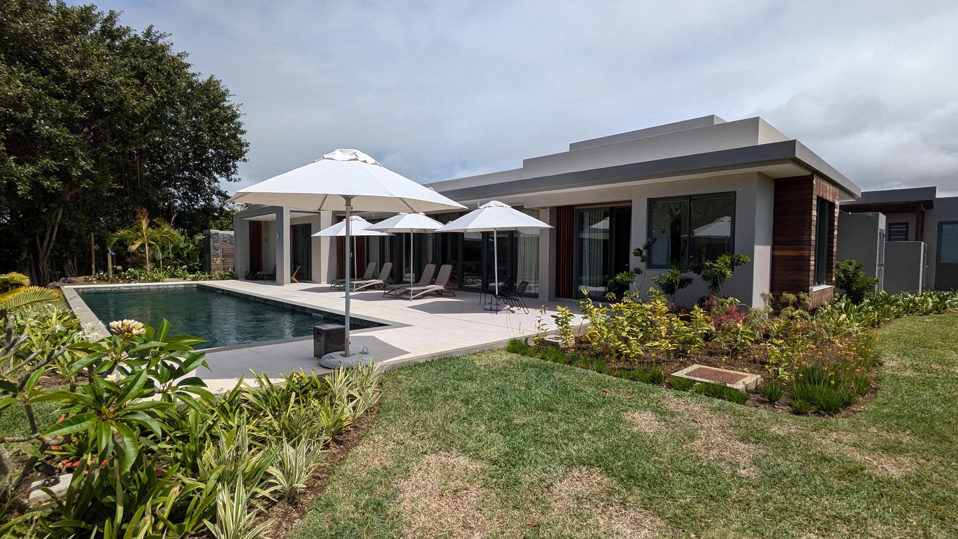 The Banyan Tree — 2