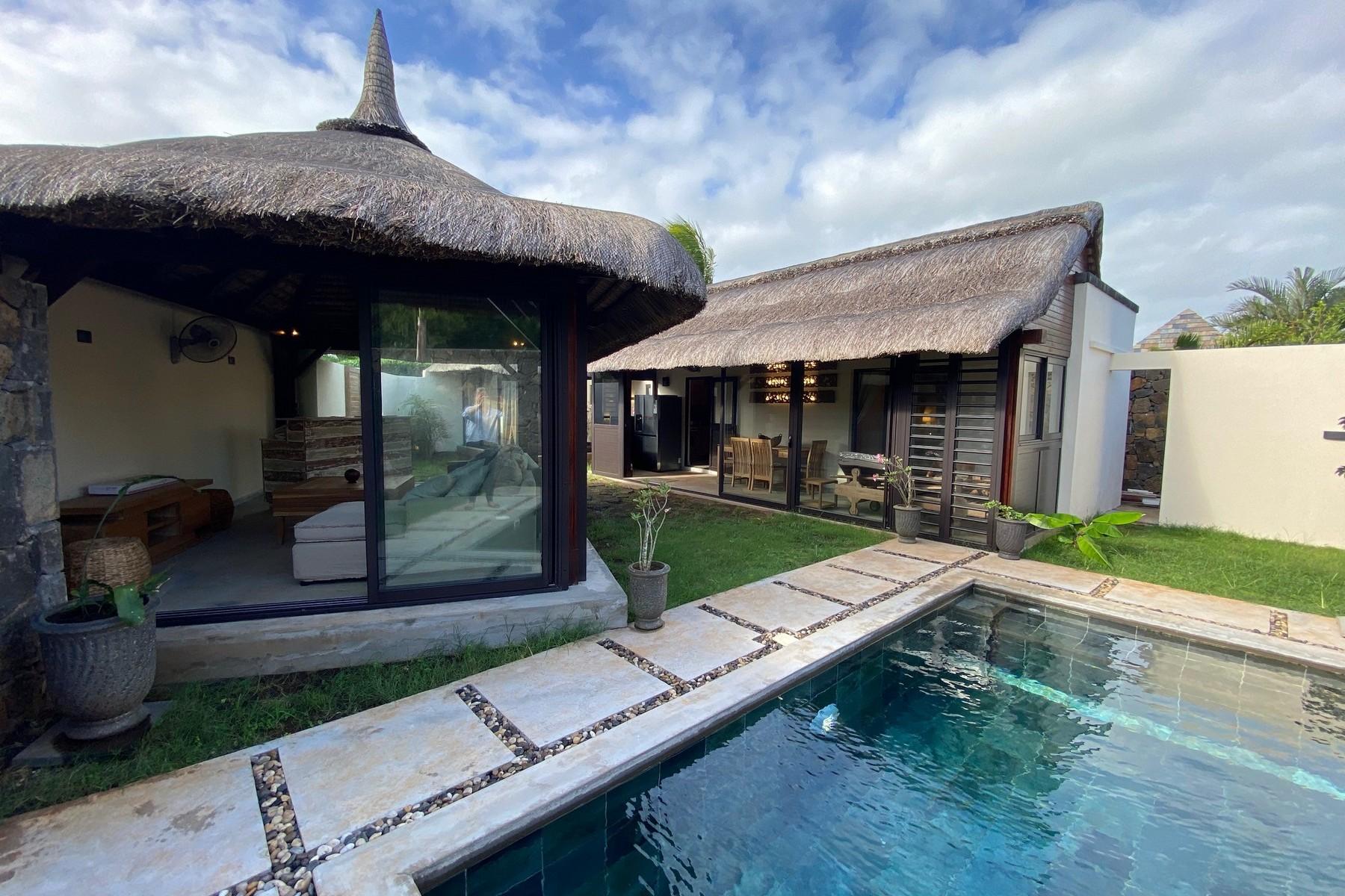 In the Tropics — 2