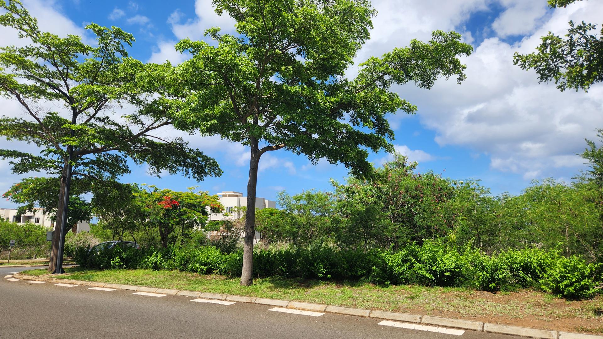 Jardin Azur — 21
