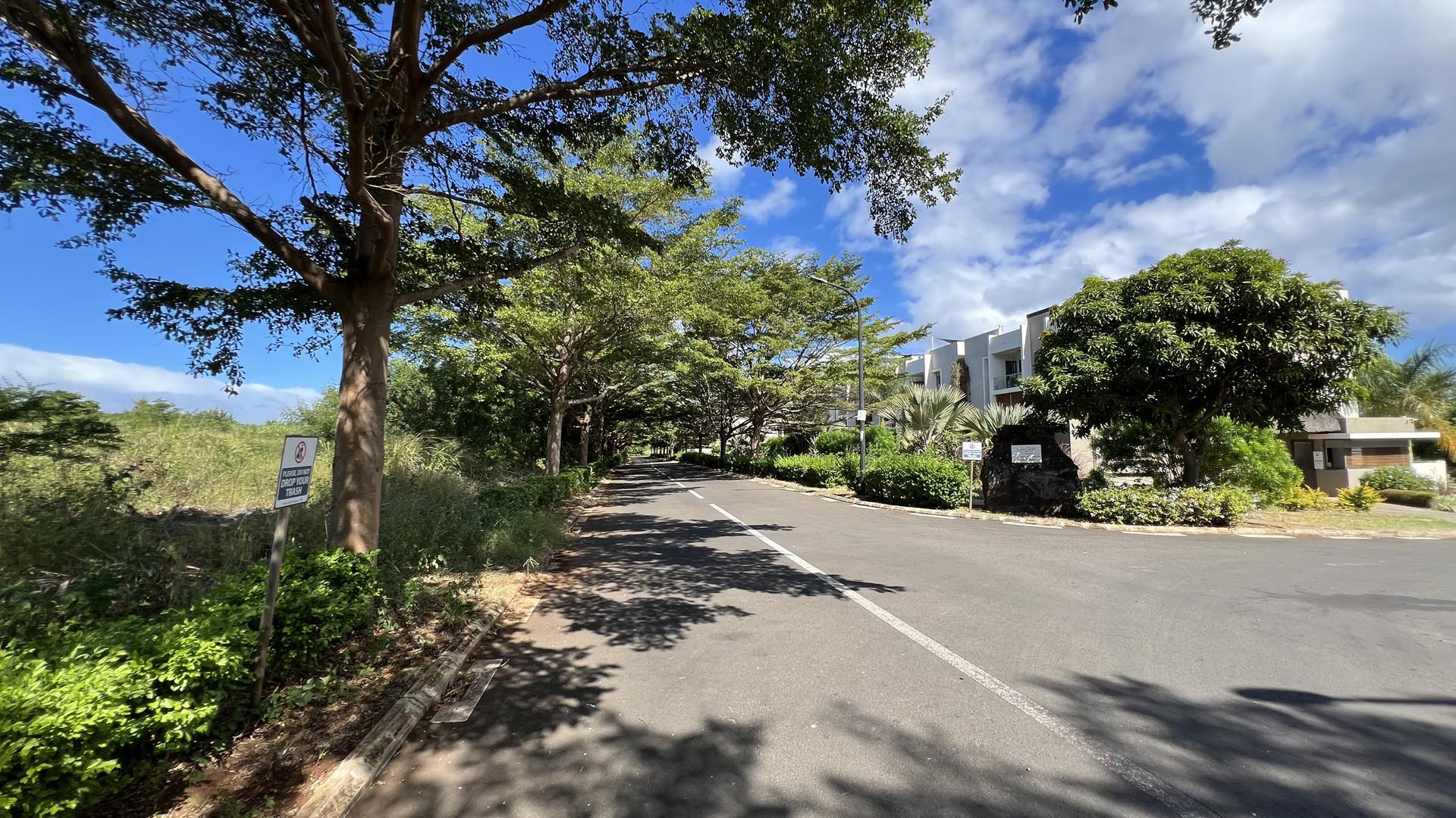 Green Creek Serene — 5