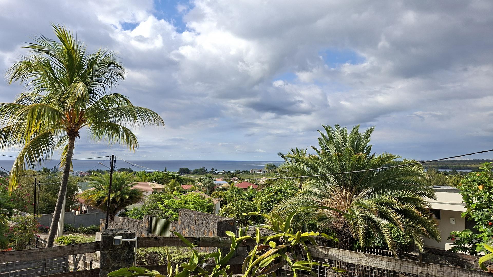 Tropical Overlook — 18