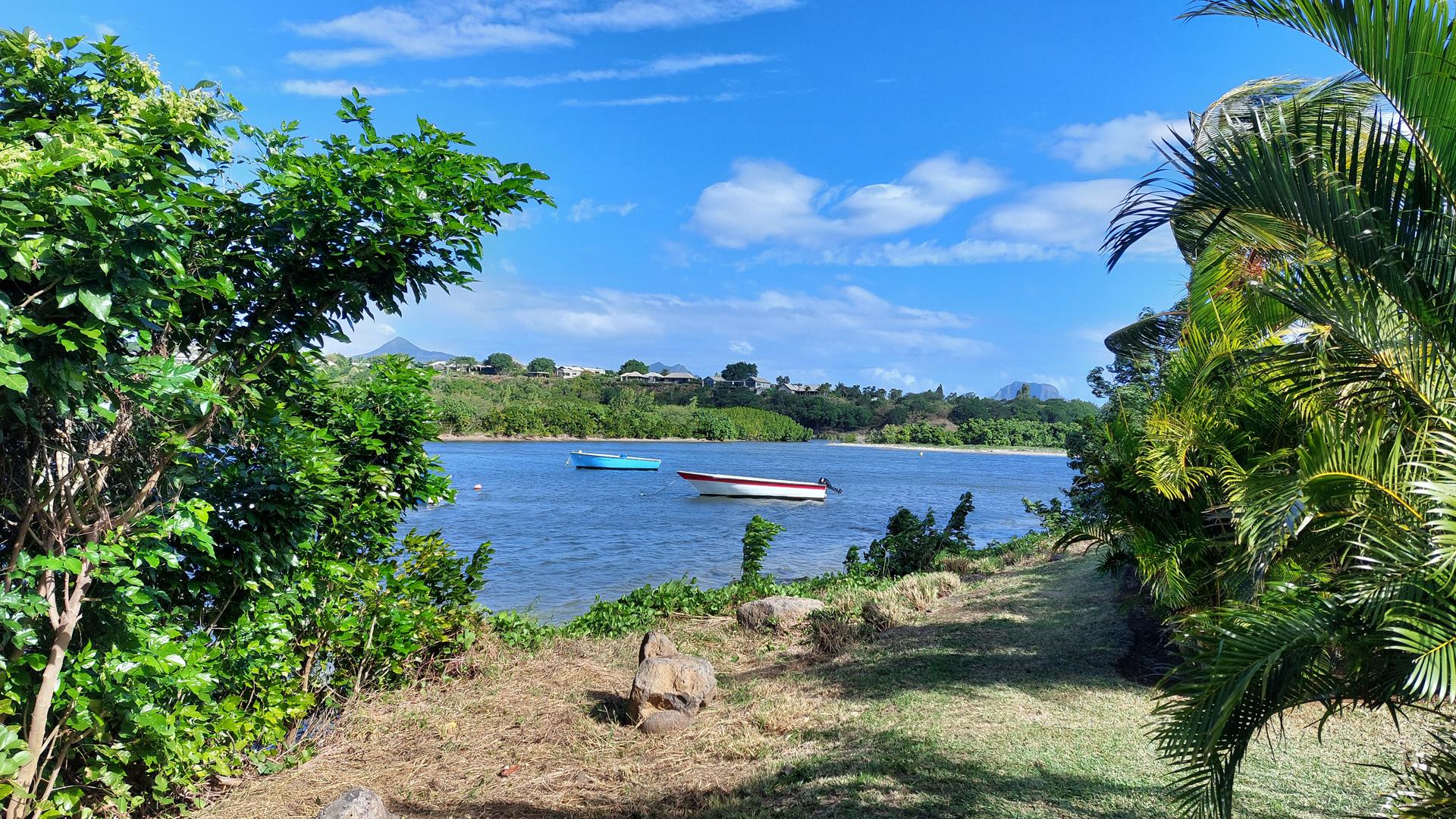 Tropical Landscape — 18