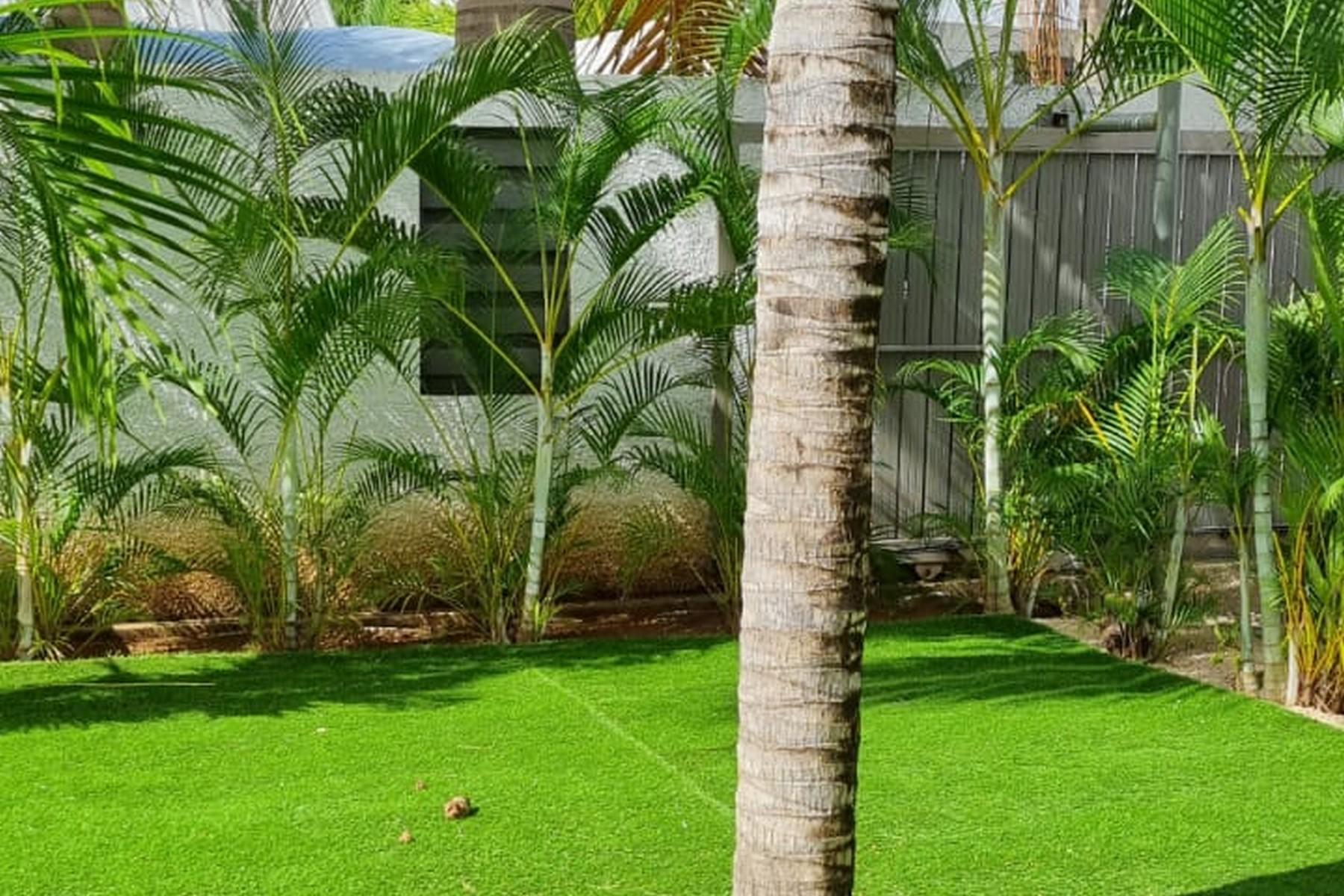 Tropical Haven  — 6